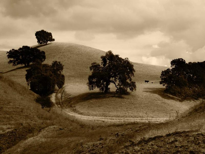 sudoku variants screenshot 6