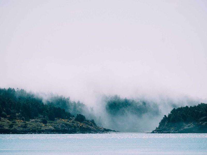 sudoku variants screenshot 4